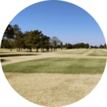 2025年11月～2026年1月