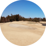 2026年2月～2026年4月